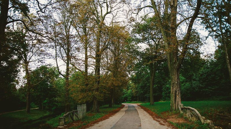 park, path, autumn, trees, paris, 4k