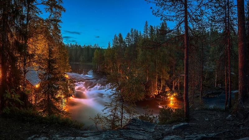 forest, nature, river, evening