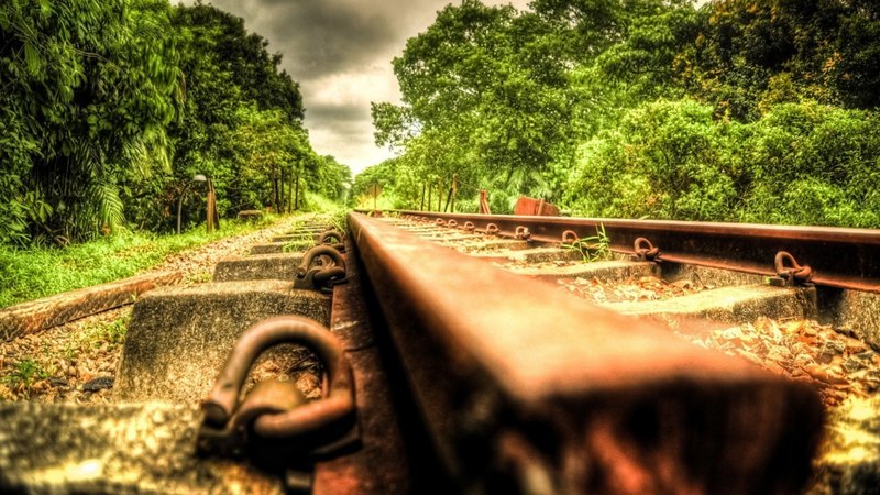 forest, view, rust, hdr, tracks, supports
