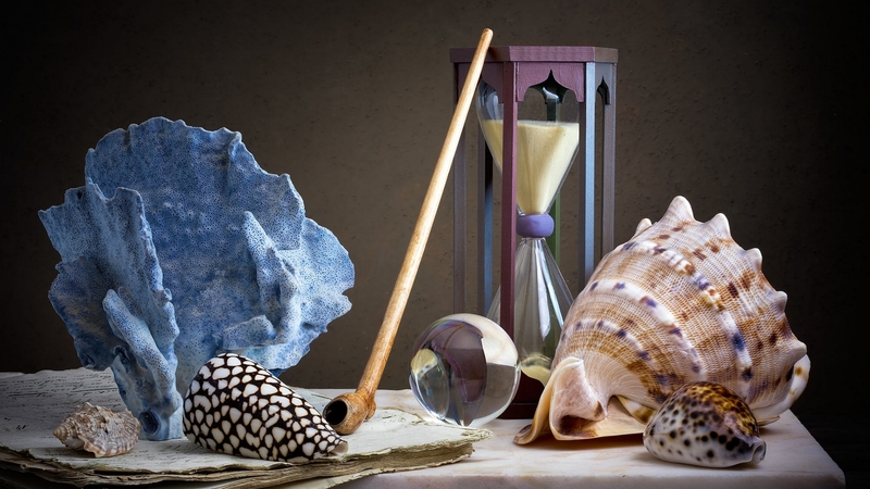 table, style, shell, papers