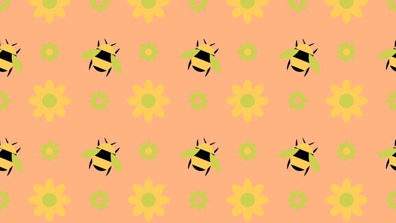 bees, patterns, texture, flowers, 4k