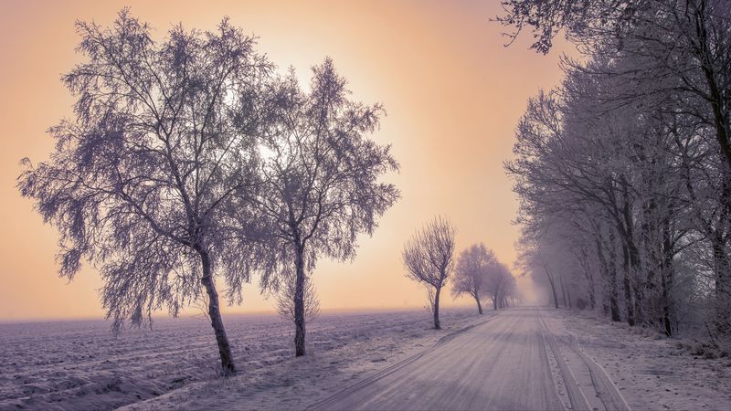 winter, road, snow, trees, fog, 4k