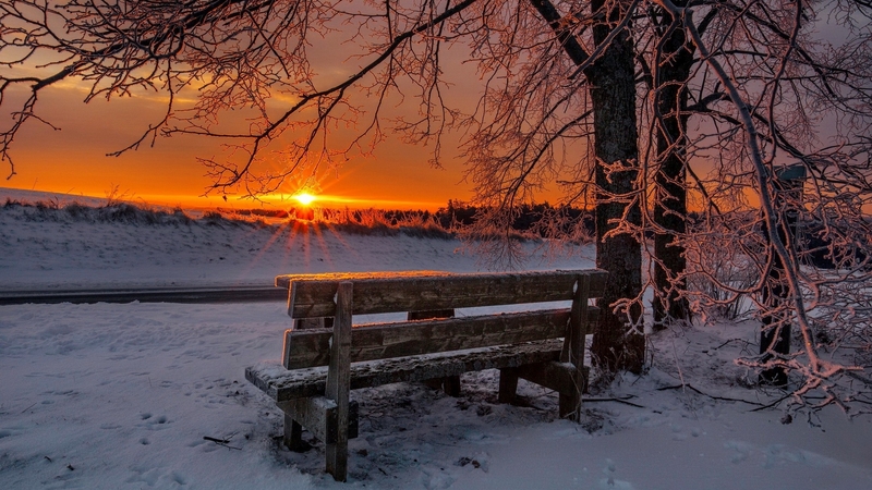 rest, glow, fiery, bench, beautiful, sunset, park, trees, sky, winter, snow, frost