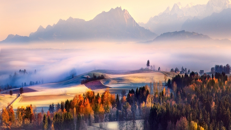 forest, fall, autumn, mist, valley, mountains, nature, morning, landscape