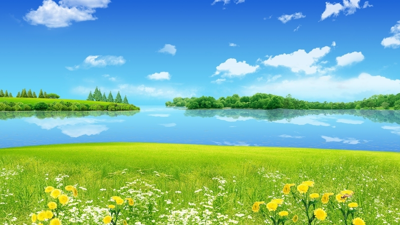 trees, flowers, sky, river
