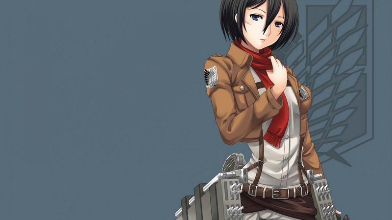 hd, mikasa ackerman, blade, symbol, attack on titan, anime, hot, anime girl, weapon, sword, female, brown hair, mad, shingeki no kyojin, sexy, plain, short hair, armor, cute, mikasa, ackerman, warrior, logo, girl, simple