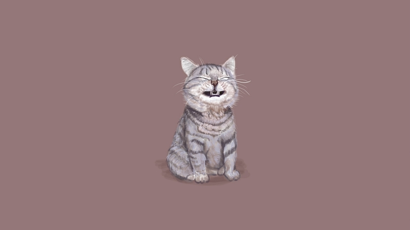 art, smile, cat, minimalism, animal, grey, funny, pink, pisica