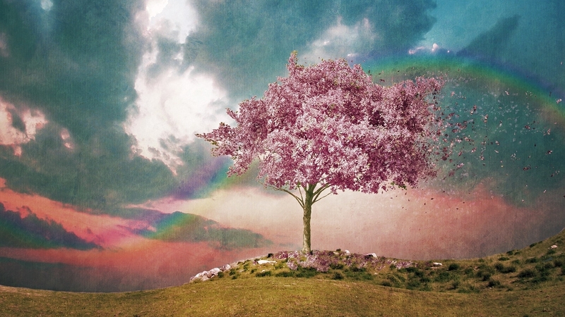 tree, fantasy, blossom, luminos, spring, rainbow, pink, blue
