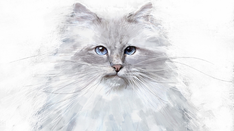 pisici, cat, art, ivana besevic, painting, pictura, blue eyes