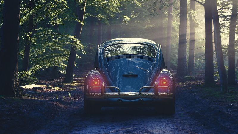 car, retro, forest, fog, 4k