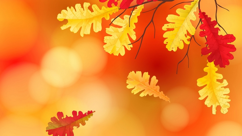 fall, bokeh, autumn, orange, texture, yellow, skin, leaf, frunza