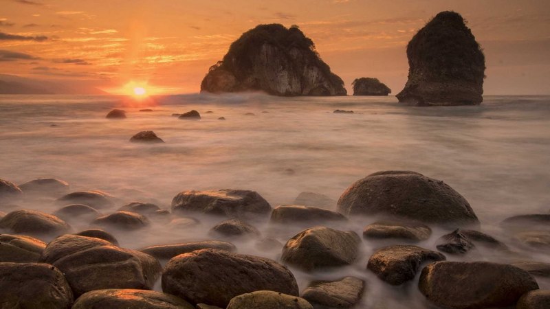 tree, nature, rock, sunset