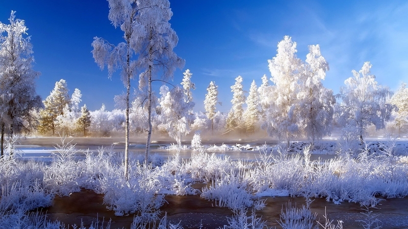 landscape, snow, trees, winter