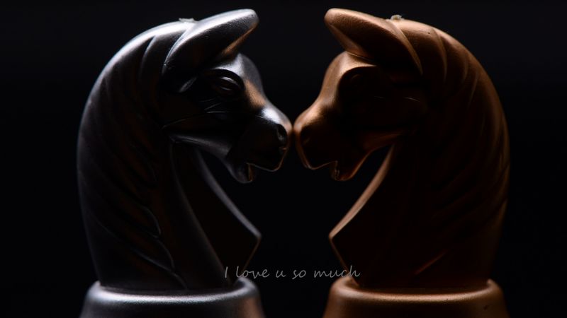 chess, knight, inscription, love, 4k