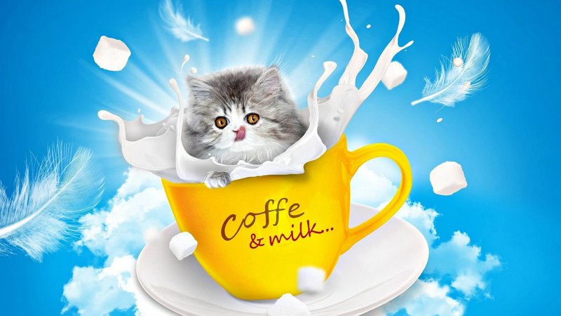 luminos, yellow, cat, creative, animal, cute, splash, fantasy, feather, cup, milk, kitten, white, pisica, blue