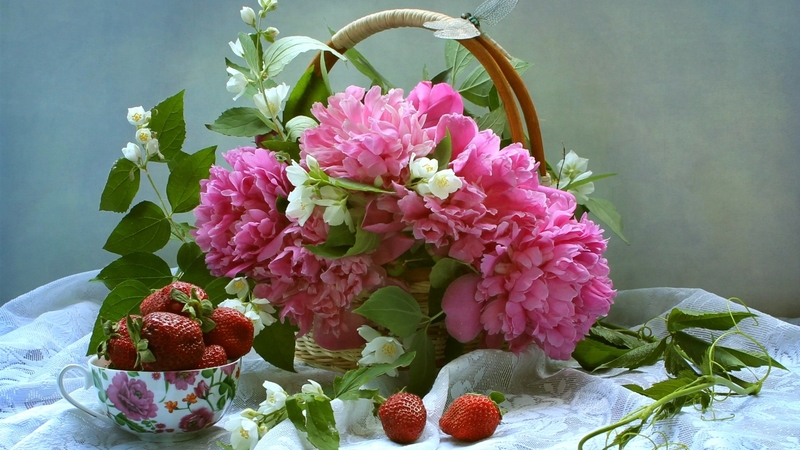 jasmine, strawberry, basket, flowers, white, pink, peonies