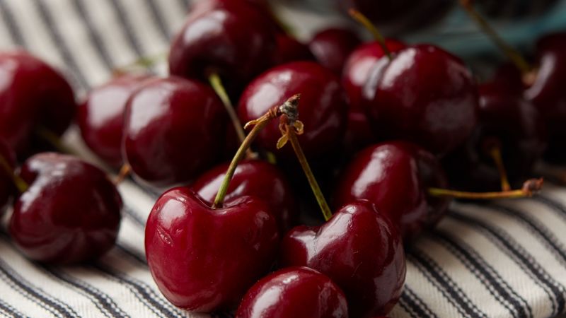 cherry, fruit, fabric, 4k