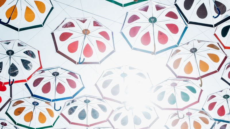umbrellas, umbrella, sunlight, bottom view, 4k