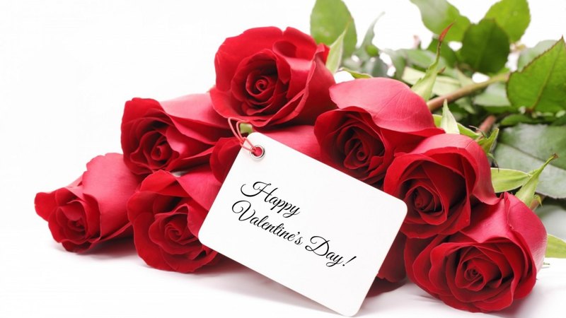 red, rose, flower, valentine, white, card