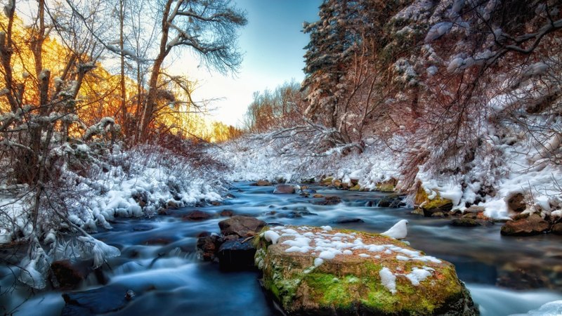 stream, forest, winter, rocky