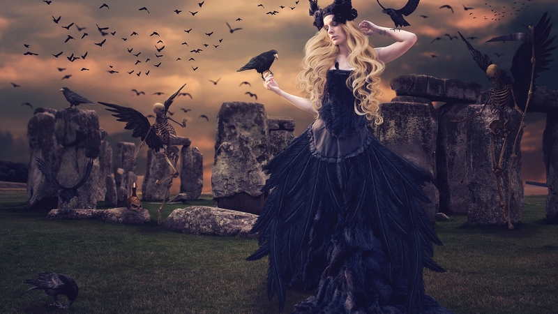 black, wings, dance, bird