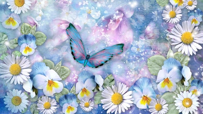 daisies, summer, pansies, spring, soft, butterflies, firefox persona theme, blue