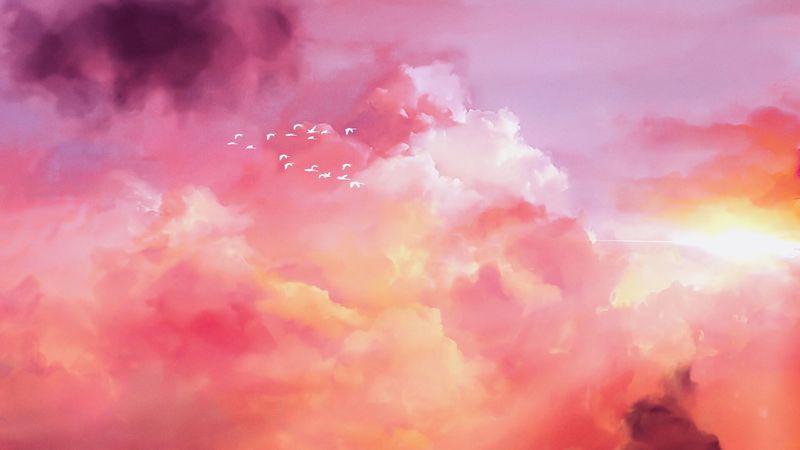 birds, flock, pink, sky, 4k