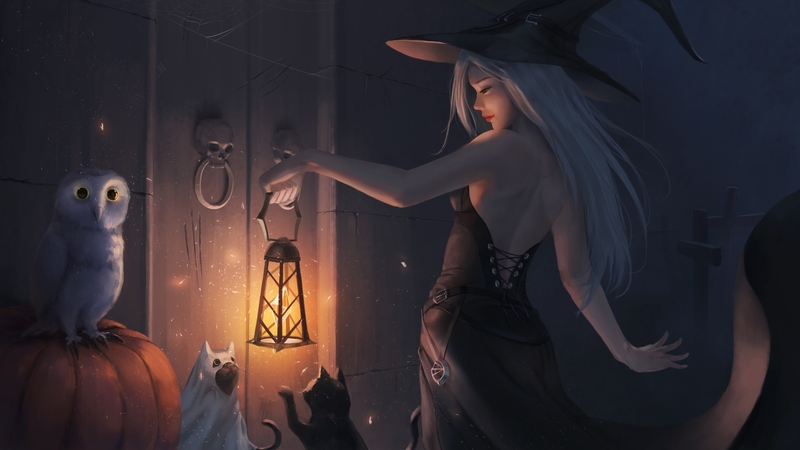 hat, witch, luminos, lantern, halloween, cat, fantasy, cc yang, allen hsieh, dark, pisici, night, light