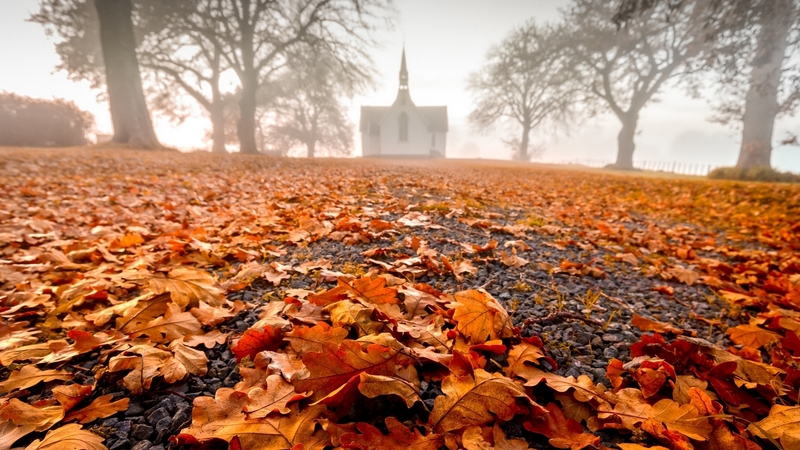 fall, autumn, leaves, colors, trees, church, road