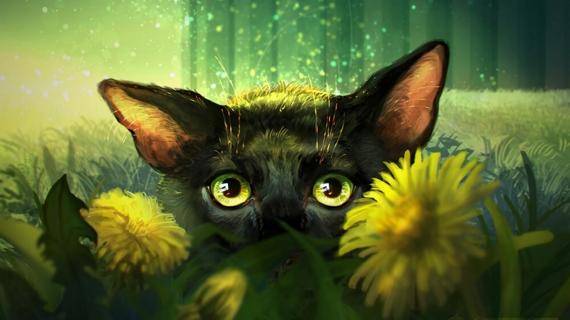 fantasy, luminos, yellow, flower, grayfox windmill, eyes, cat, pisici, black