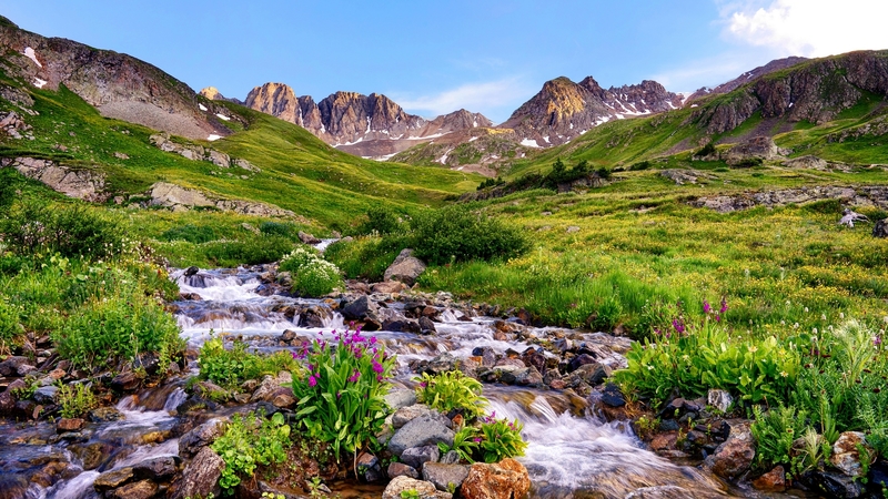 wildflowers, slope, spring, brook, hills, stream, grass, greenery, beautiful, mountain, frsahness