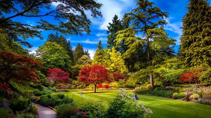grass, beautiful, spring, park, trees, freshness, alleys, flowers, garden, walk