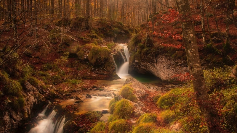 fall, trees, streams, forests, autumn, rocks, nature