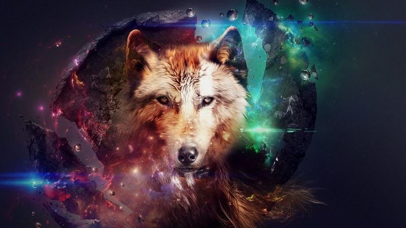 night, art, predator, head, colors, spheres, eyes