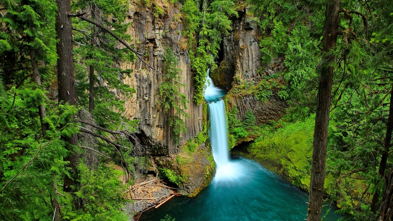 forest, rocks, waterfall, beautiful, trees, falls