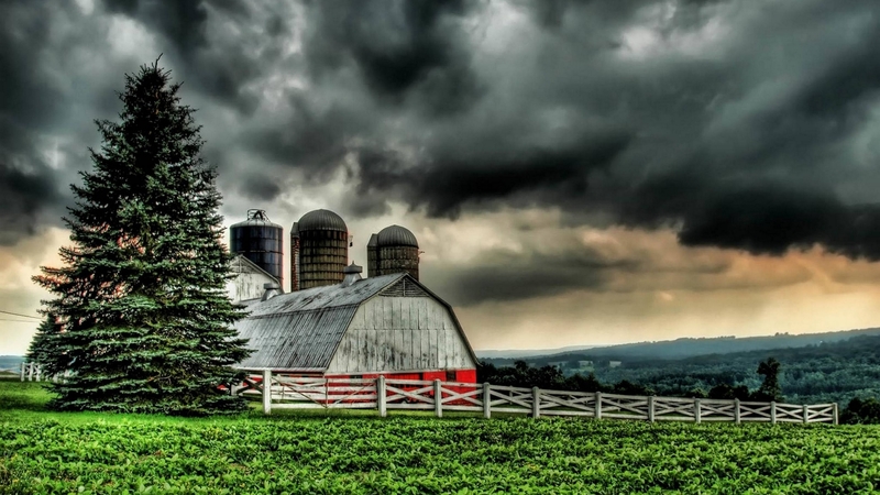 cool, nature, fun, field, barn