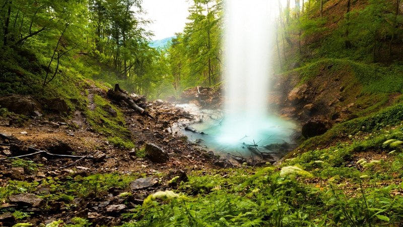 nature, water, waterfall, flora