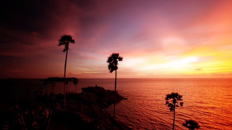 palmtrees, clouds, ocean, red sky