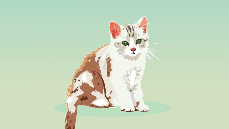 kitten, cat, vector, art, 4k