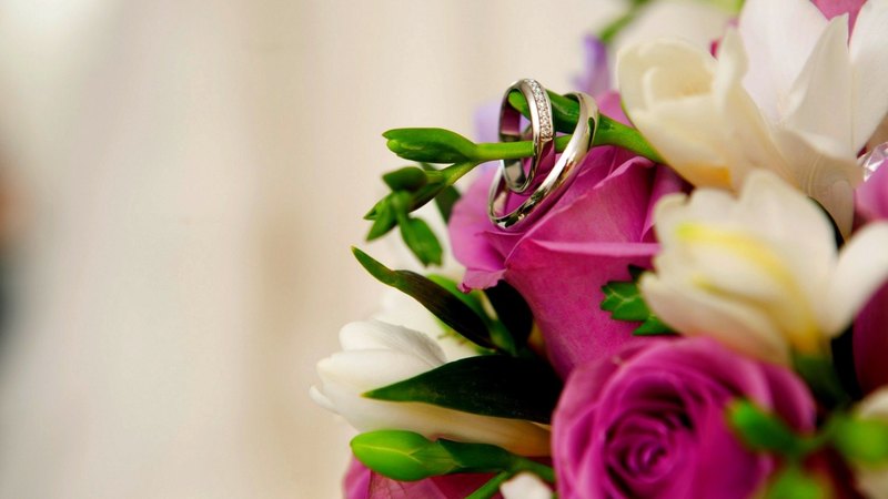 flower, rings, flowers, buds