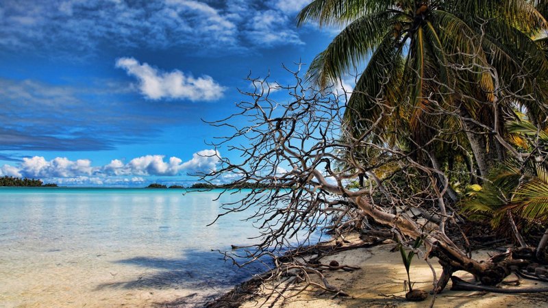 polynesia, french, sea, atoll, palm trees, beach, lagoon, sand, south pacific, blue, exotic, islands, ocean, rangiroa, tuamotus, paradise, island, tropical