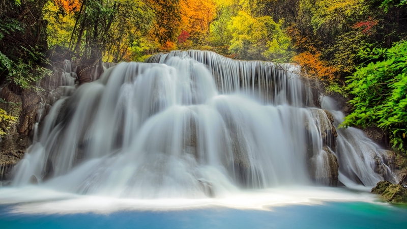 waterfall, forest, tree, water