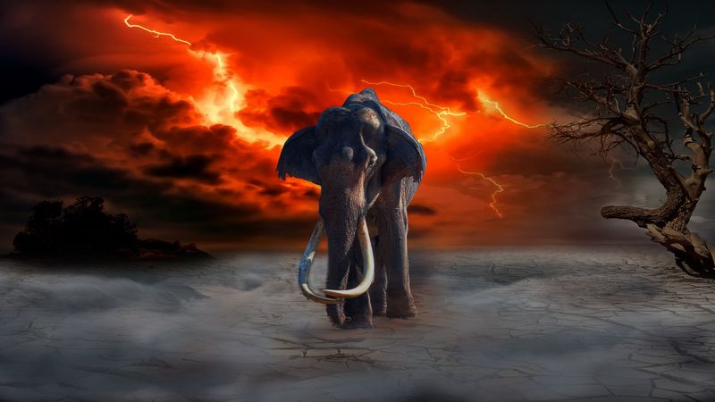 elephant, lightning, photoshop, fantasy, 4k