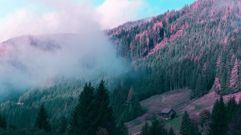 mountains, house, fog, trees, hill, gesause national park, admont, austria, 4k