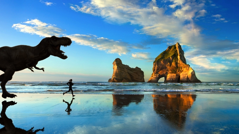 t  rex, beach, nature, woman, reflection
