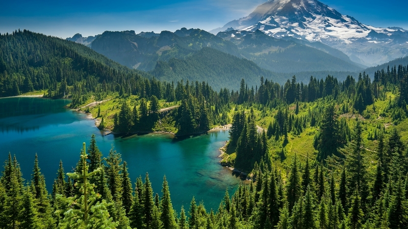 trees, landscape, mount, lake