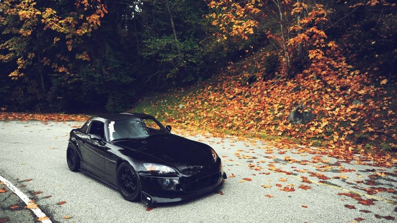 forest, fun, honda, car