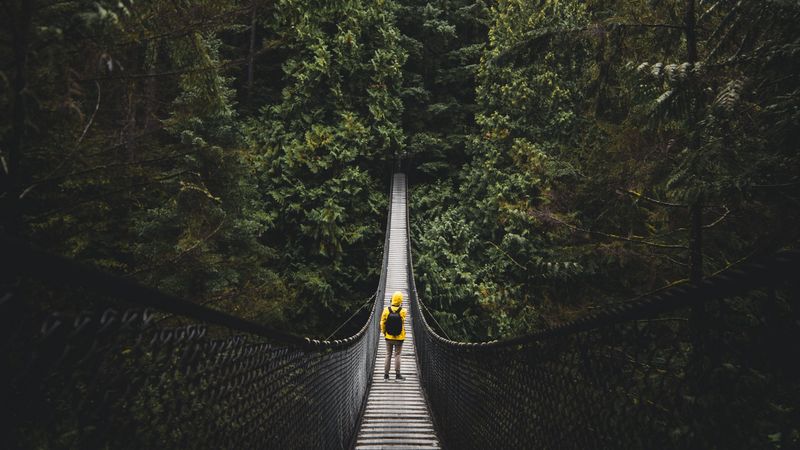bridge, man, loneliness, vancouver, canada, 4k