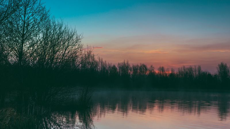 lake, fog, trees, sunset, 4k