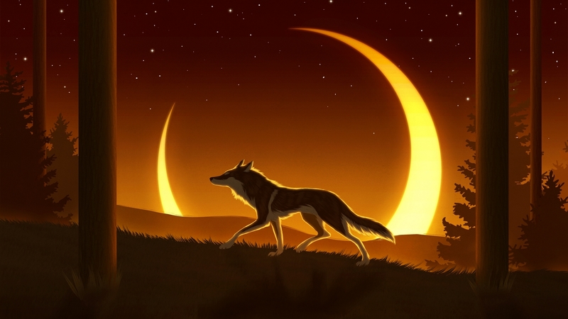 luminos, orange, luna, lup, yellow, wolf, silhouette, moon, fantasy, night